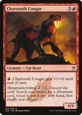 Chartooth Cougar · 125