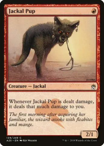Jackal Pup · 139