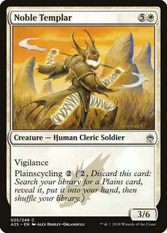 Noble Templar · 25