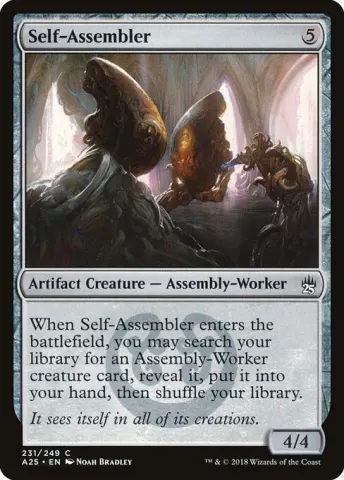 Self-Assembler · 231