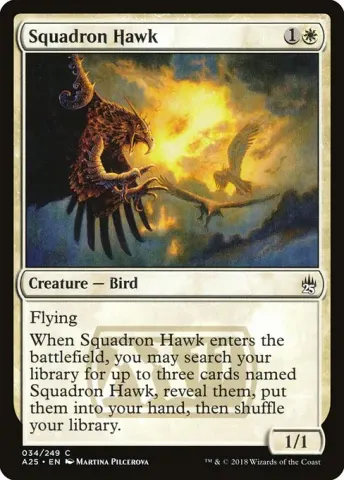 Squadron Hawk · 34