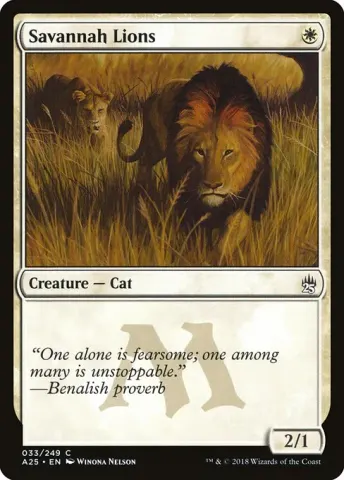 Savannah Lions · 33