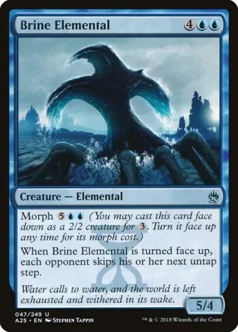 Brine Elemental · 47