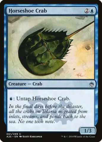 Horseshoe Crab · 61