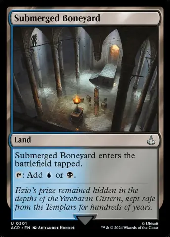 Submerged Boneyard · 301