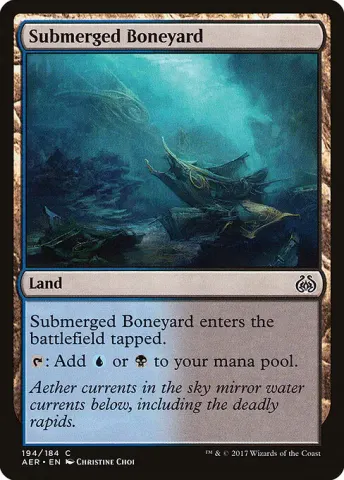 Submerged Boneyard · 194