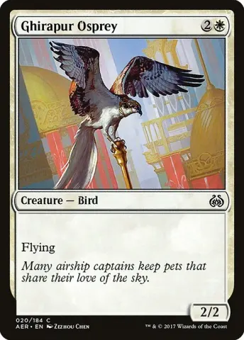 Ghirapur Osprey · 20
