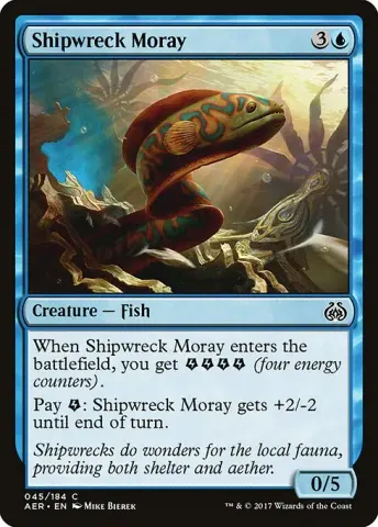 Shipwreck Moray · 45
