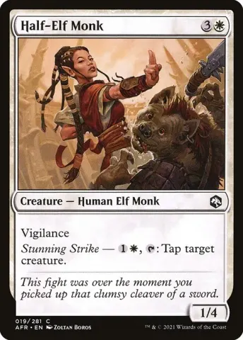 Half-Elf Monk · 19