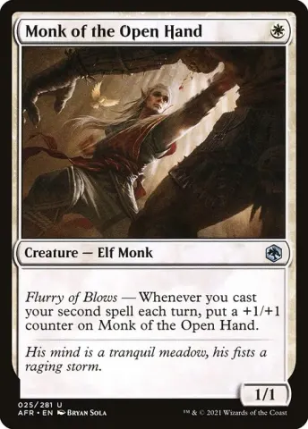 Monk of the Open Hand · 25
