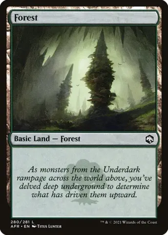 Forest · 280