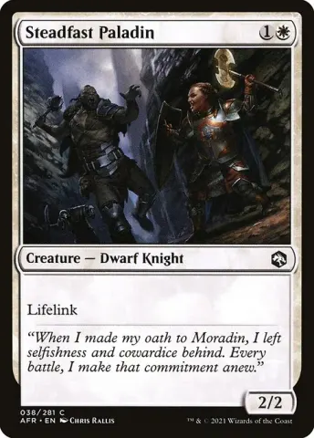 Steadfast Paladin · 38
