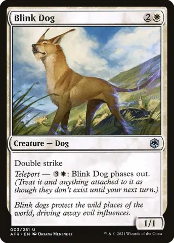 Blink Dog · 3
