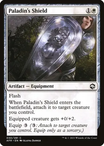 Paladin's Shield · 30