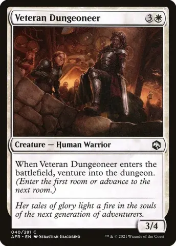 Veteran Dungeoneer · 40