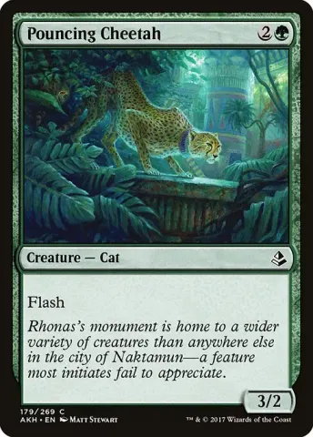 Pouncing Cheetah · 179