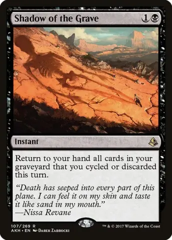 Shadow of the Grave · 107