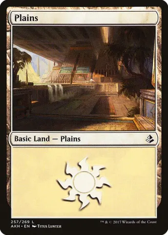 Plains · 257
