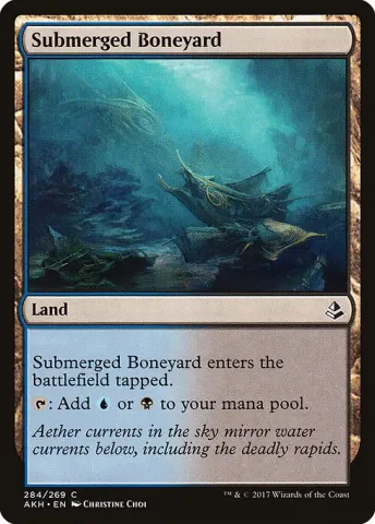 Submerged Boneyard · 284