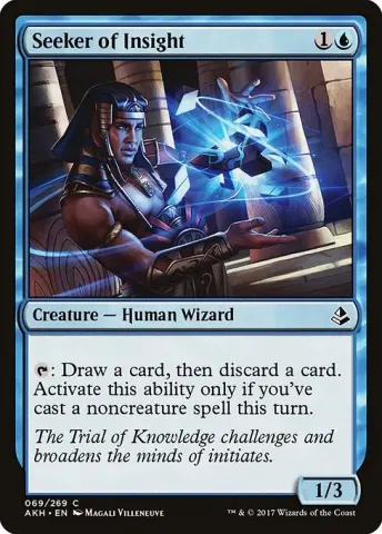 Seeker of Insight · 69