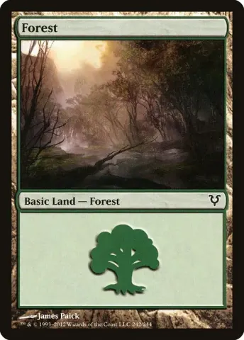Forest · 242