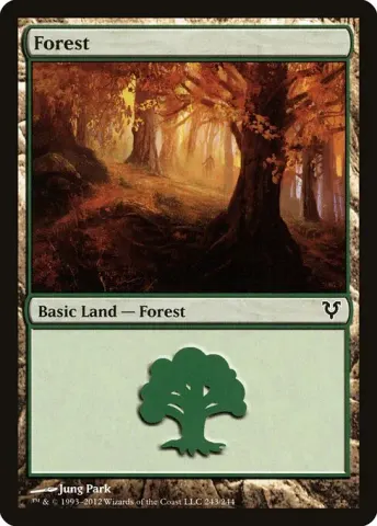 Forest · 243