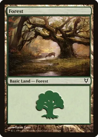 Forest · 244