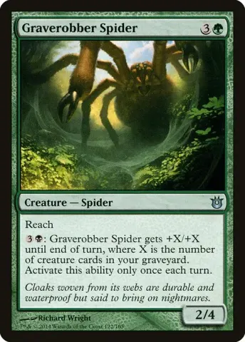 Graverobber Spider · 122