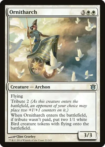 Ornitharch · 23