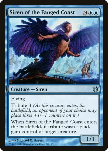 Siren of the Fanged Coast · 50