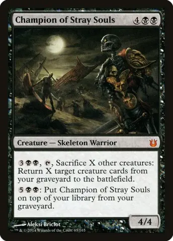 Champion of Stray Souls · 63