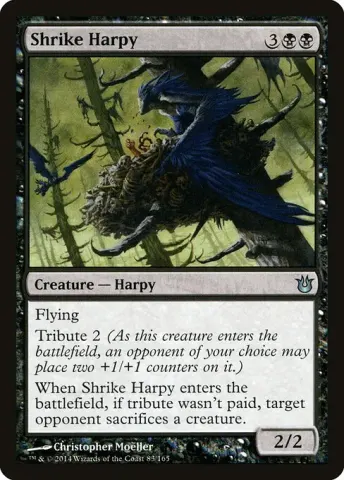 Shrike Harpy · 83