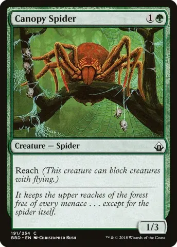 Canopy Spider · 191