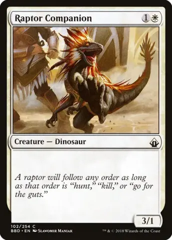 Raptor Companion · 102