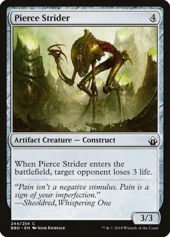 Pierce Strider · 244