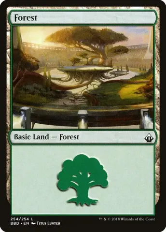 Forest · 254
