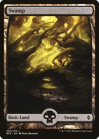 Swamp · 260