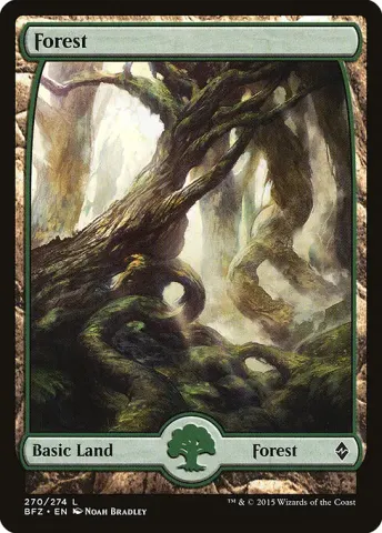 Forest · 270