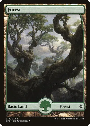 Forest · 274