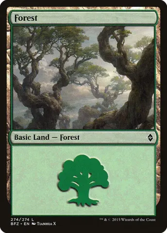 Forest · 274a
