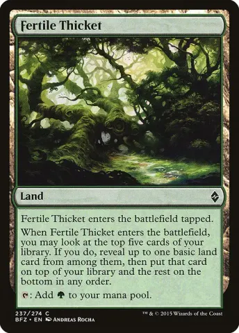 Fertile Thicket · 237