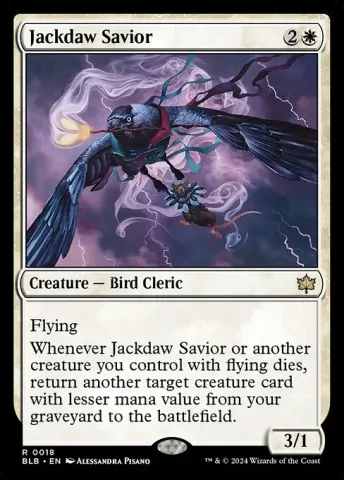 Jackdaw Savior · 18