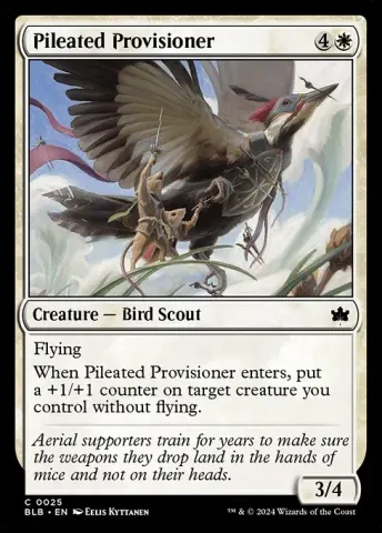 Pileated Provisioner · 25