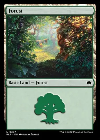 Forest · 377