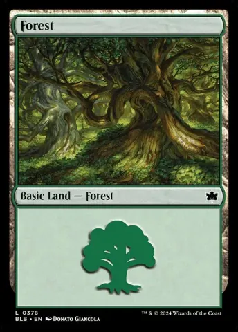 Forest · 378