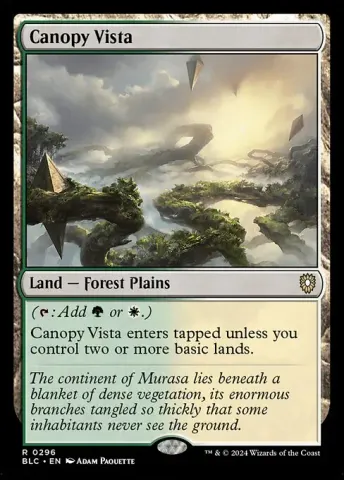 Canopy Vista · 296