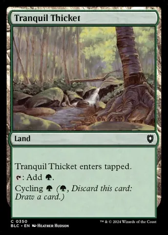 Tranquil Thicket · 350