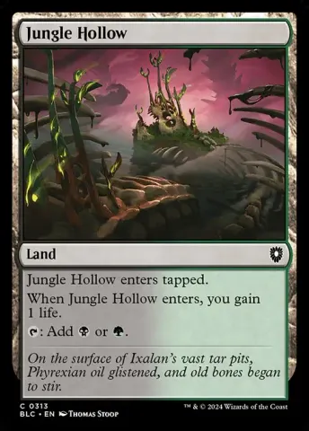 Jungle Hollow · 313