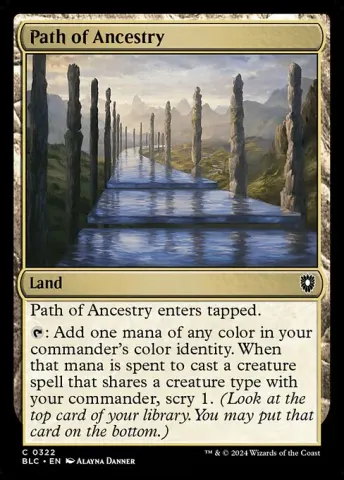 Path of Ancestry · 322