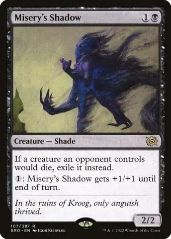Misery's Shadow · 107